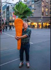 Grasper Carrot 