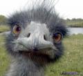 Get that camera out of my face bud! [<em>John Morgan</em>]