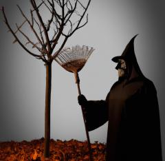 The Grim Sweeper