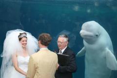 "Should anyone present know of any reason that this couple should not be joined in holy matrimony, squeak now..."