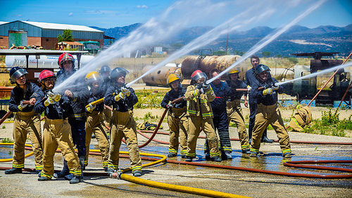   "Job done!  Thats one more success for the East Division Fire Team, and one less kitten in a tree."