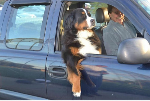   Ron was always cruising around, picking up bitches.