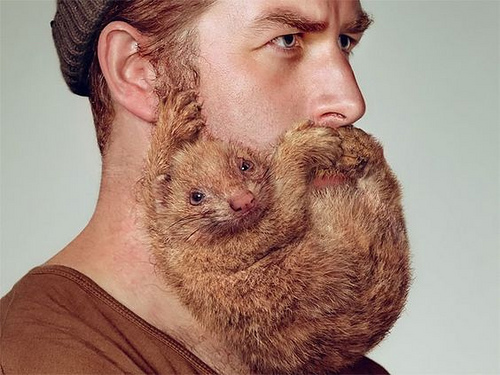 "My wife has a matching beaver."