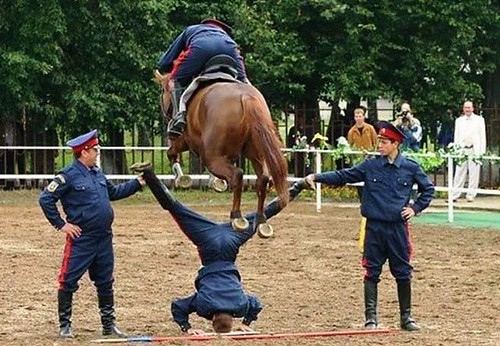 "This week on Excessive Flatulence, Gary levitates a horse after consuming half a kilo of brussel sprouts."