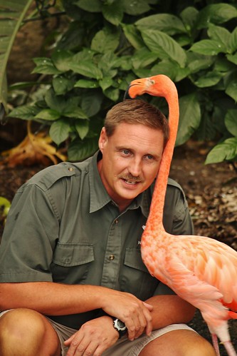 After Dave ran off with a flamingo, his wife decided toucan play that game.