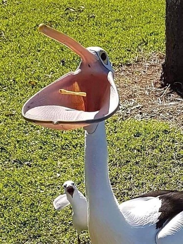 "Its amazing how you managed to splice seagull and velociraptor DNA together professor, but are you sure its safe?"  "Yes, as long as you dont run out of chips."