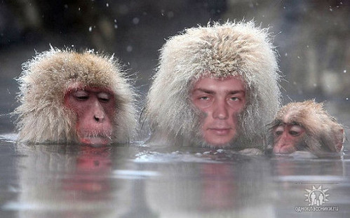 "So, Dave, still reckon the ice will hold us?"