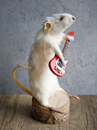 ♫ ♬ ♩ There is... a mouse...in New Orleans...♫ ♬ ♩