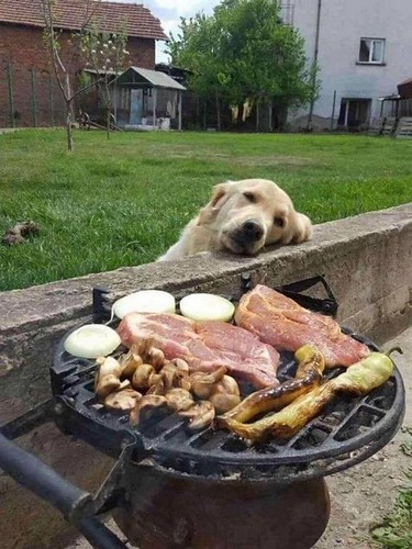 "Next on Blue Peter, Simon and Goldie will show you how to barbecue stuff on a red hot grill. You dont need to ask your parents because this is the 1980s, so bollocks to health and safety."
