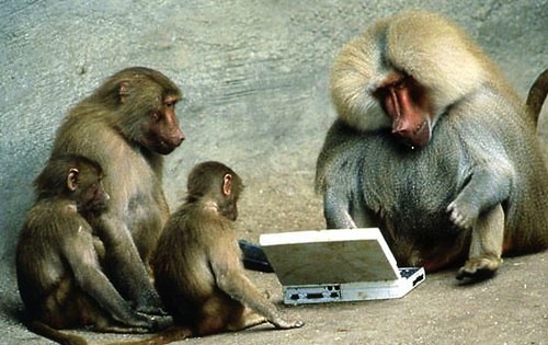 An infinite number of monkeys with an infinite number of typewriters can rewrite Shakespeares work but 4 monkeys 1 laptop and 10 minutes can reproduce a Katie Price Autobiography 