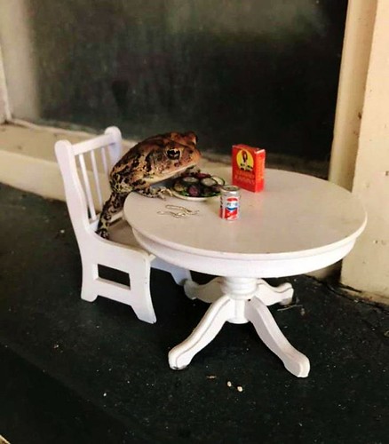 "He says the chair is uncomfortable and can he have the toad stool?"