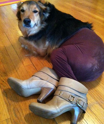 Fetch!? In these heels? You must be kidding.