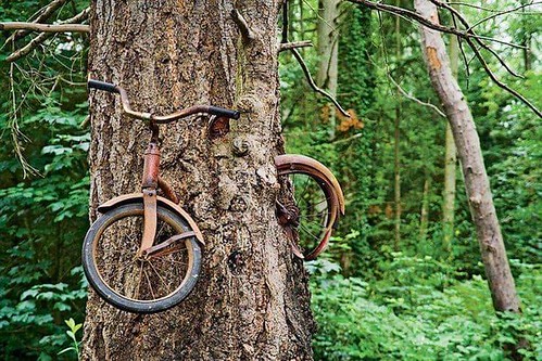 "Took me sixty years but I finally remembered which tree I chained my bike to."
